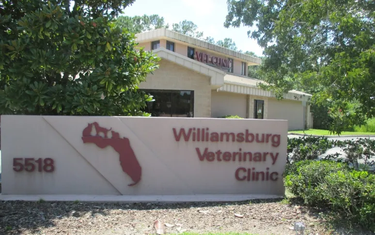 10. Williamsburg Veterinary Clinic