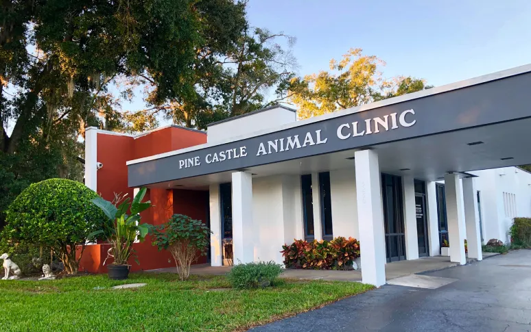 4. Pine Castle Animal Care Center