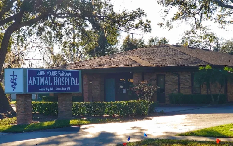 5. John Young Parkway Animal Hospital