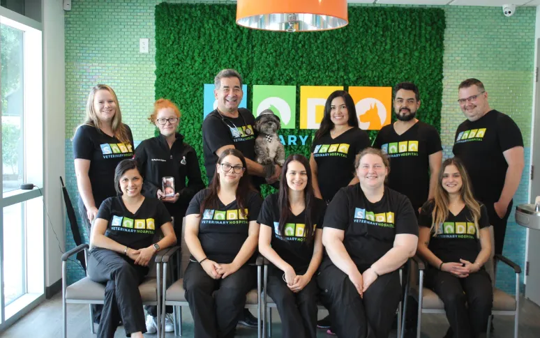 6. SODO Veterinary Hospital