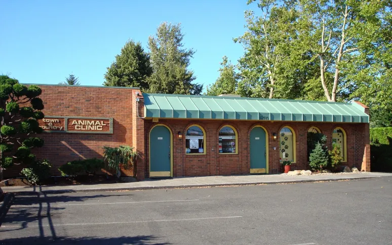 1. Town and Country Animal Hospital