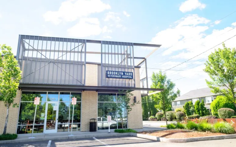 10. Brooklyn Yard Veterinary Hospital