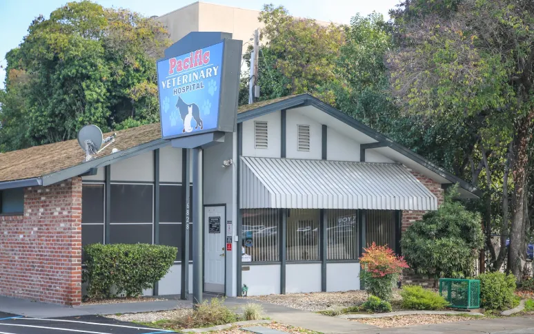 6. Pacific Veterinary Hospital