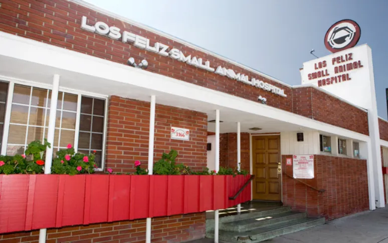 1. Los Feliz Small Animal Hospital