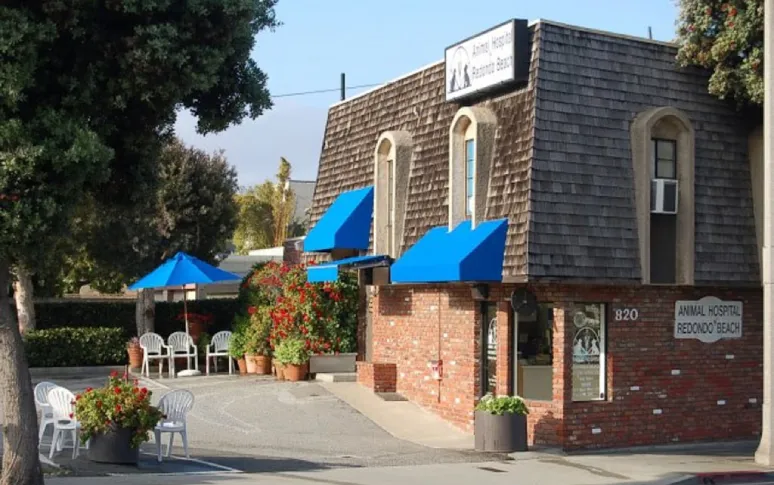 6. Animal Hospital of Redondo Beach